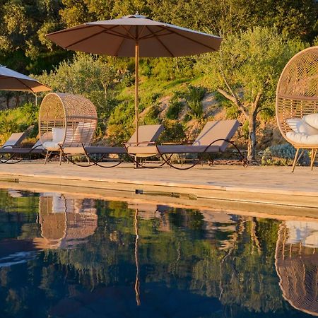 Terre De Maquis, Maison D'Hotes Vue Mer Corse Sari-D'orcino Zewnętrze zdjęcie