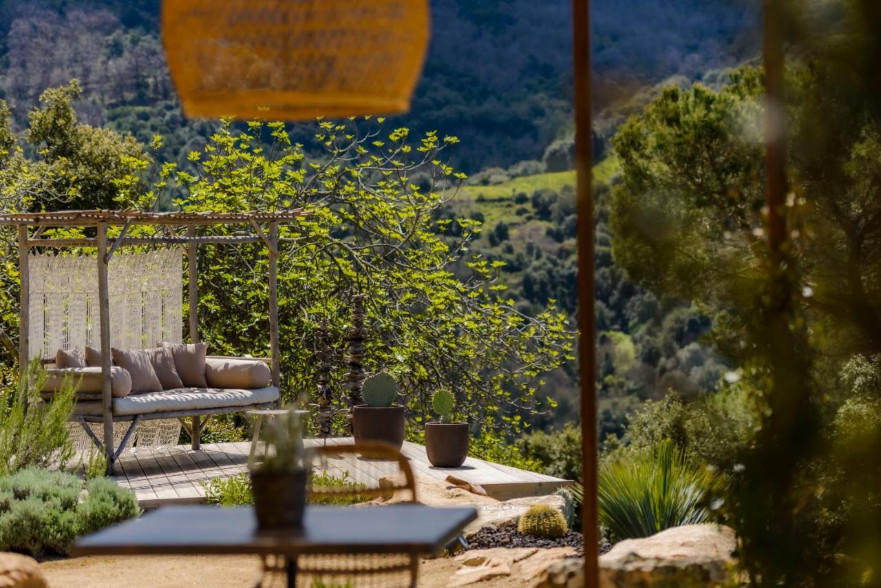 Terre De Maquis, Maison D'Hotes Vue Mer Corse Sari-D'orcino Zewnętrze zdjęcie