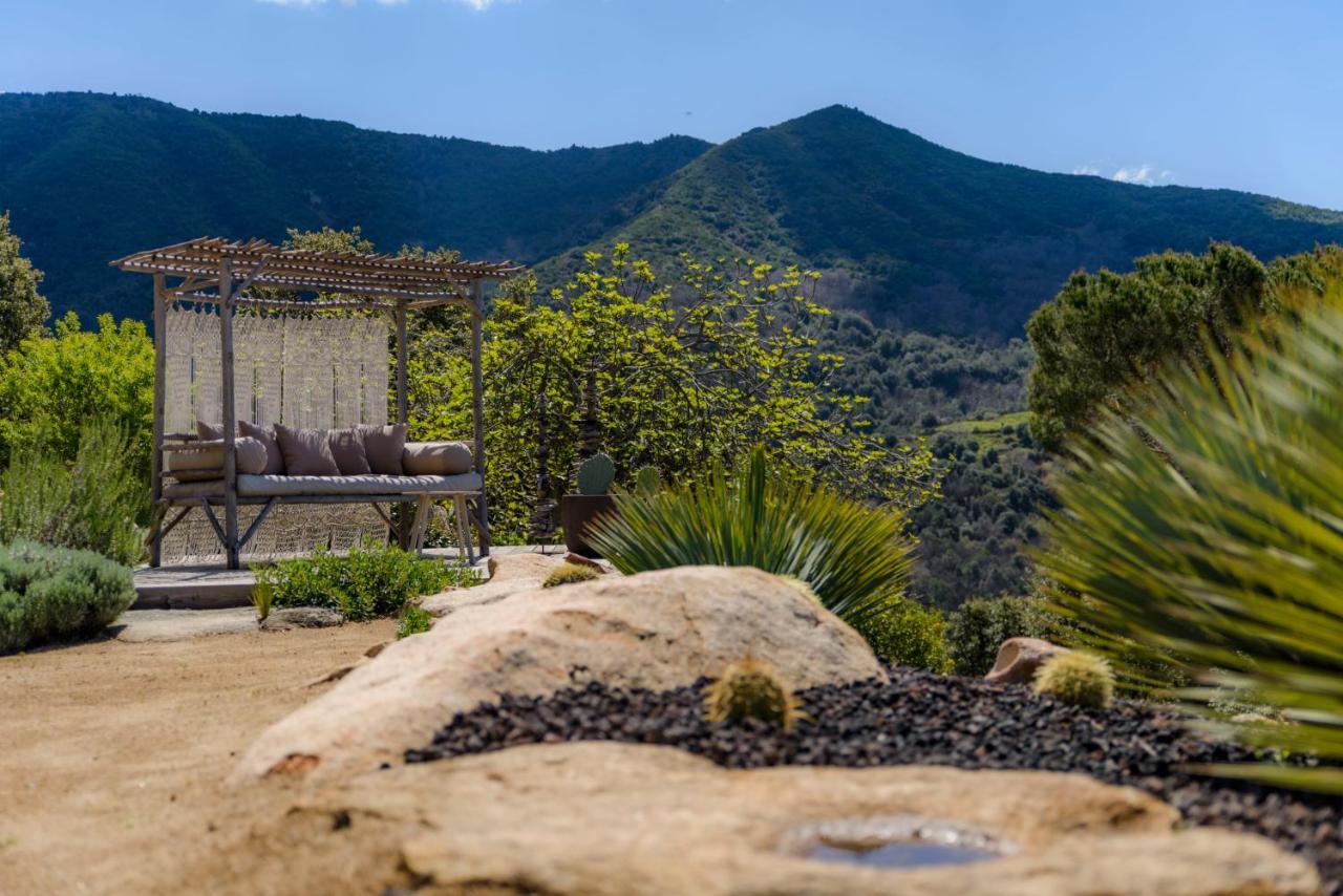 Terre De Maquis, Maison D'Hotes Vue Mer Corse Sari-D'orcino Zewnętrze zdjęcie