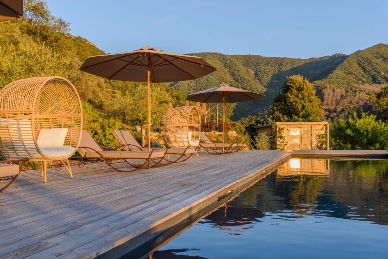 Terre De Maquis, Maison D'Hotes Vue Mer Corse Sari-D'orcino Zewnętrze zdjęcie