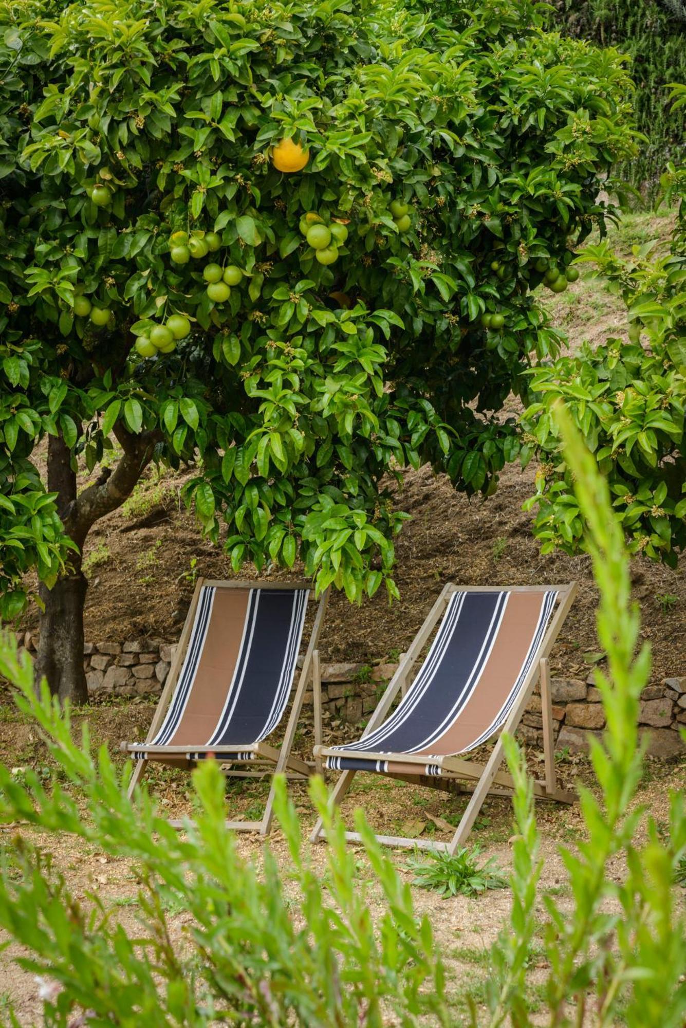 Terre De Maquis, Maison D'Hotes Vue Mer Corse Sari-D'orcino Zewnętrze zdjęcie