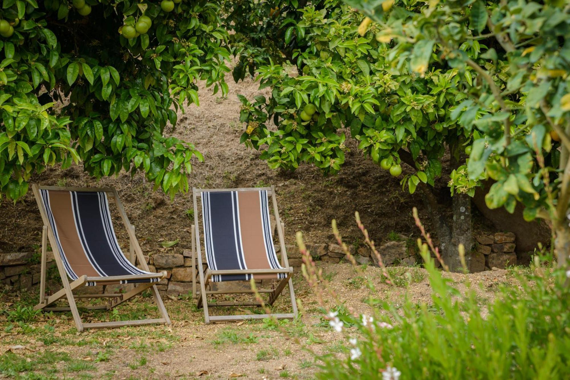 Terre De Maquis, Maison D'Hotes Vue Mer Corse Sari-D'orcino Zewnętrze zdjęcie
